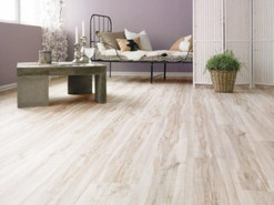 Sunfloor 12