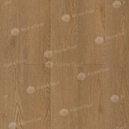 SPC ламинат Alpine Floor ECO 173-66 MC Клен классический 34 класс 1220х183х3.5 мм (каменно-полимерный)