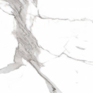 Керамогранит PR107 Salvatore Primavera 60x60 полированный универсальный