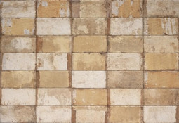 Керамогранит Tropicana 10х20 Serenissima and Cir Havana матовый универсальная плитка 1052965