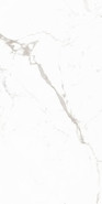 Керамогранит 12053R 60x120 Maimoon Carving, матовый универсальная плитка