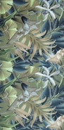 Керамогранит Tropical Beige High Glossy 60x120 Infinity Ceramica полированный настенный