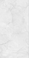 Керамогранит Арт. RC 5031 Bianco End Carving переходящий рисунок 60x120 Sol универсальная плитка