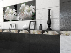 Dream Calas, Lirio, Flor