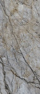 Керамогранит Cosmopolitan Mystic Grey CP 06 278x120x0,06 полированный AGQ6