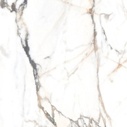 Керамогранит Eco Marble 6582 Polished 60x60 Alpas Euro полированный универсальная плитка n167691