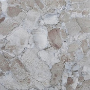 Керамогранит XJC088 60x60 Globus Ceramica полированный универсальный