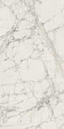 Керамогранит Prexious Rex Mountain Treasure Mat 60x120 универсальный матовый