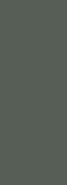 Настенная плитка Foresta Verde 24.2x70 Eletto Ceramica матовая керамическая 00-00108474