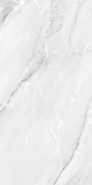 Керамогранит Aquarelle Grey 60х120 Absolut Gres полированный универсальный AB 1187G