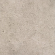Керамогранит Starlight Grys Gres Szkl. Mat. 60x60 G1 Paradyz Ceramika матовый универсальный 5904584150616