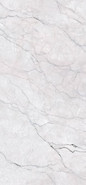 Керамогранит Super White Extra 120x280 Matt (6 мм) Zodiac Ceramica Marble матовый универсальная плитка MN257AY281206