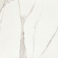Керамогранит P- White-61x61 напольный матовый