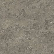 Керамогранит Marvel Meraviglia Grigio Elegante 60x60 Lapp. Atlas Concorde Italy полированный универсальный AJI8