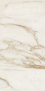 Керамогранит Maximvs Calacatta Bright Lux R 60x120 Versace полированный универсальная плитка G67582