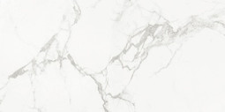 Керамогранит AB 1112G Carrara Classic 60x120 Absolut Gres полированный универсальный