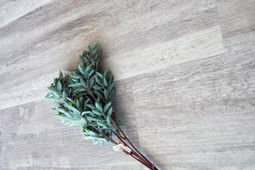 Кварцвиниловая плитка ЕСО3-19 (ламинат)