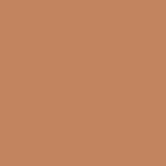 Керамогранит Italian Landscape Terracotta 20.5x20.5 Fioranese Ceramica матовый универсальная плитка IL20TER