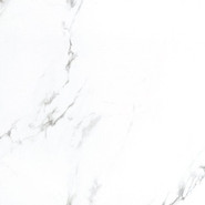 Керамогранит Bright And Shiny BB6NTT9100P Ntceramic 60х60 полированный универсальный