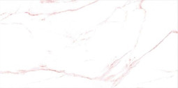 Blank