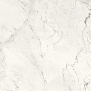 Керамогранит AE CAL6 120 Rm 120x120 La Faenza Monoceram матовый универсальный 38252