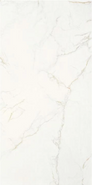 Керамогранит Thuile Venato Natural Mt 60x120 STN Ceramica Stylnul матовый универсальная плитка CAN5THUIVDAA