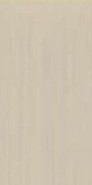 Керамогранит TC Beige Mat Asia Pacific 60х120 матовый универсальный