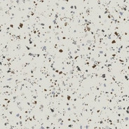 Керамогранит White Natural 59,55x59,55 напольный матовый