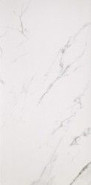 Керамогранит СП455 Плитка CP Marmoker Statuario Grigio Nat 59x118