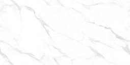 Керамогранит Statuario Endless Ntceramic 60х120 полированный универсальный NTT99506P