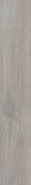 Напольная плитка Pav. Gris Rec. 16,5x100 матовая керамическая