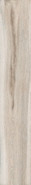 Керамогранит Barkwood White 20x120 Sant'Agostino матовый напольный CSABA7WH20