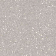 Керамогранит Moondust Silver Polpoler Paradyz Ceramika 59.8x59.8 лаппатированный (полуполированный) универсальный 131119009951