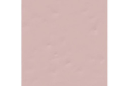 Настенная плитка Paola Rosa-B 20x20 глянцевая керамическая