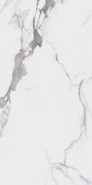 Керамогранит Project Antibacterial Calacatta Macchia Vecchia Levigato Ректифицированный 60х120 Dogma полированный универсальная плитка DPA601205