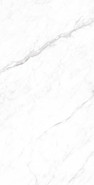 Керамогранит Coralina White 60x120 Cp Arcadia Ceramica carving универсальная плитка CP4003-A