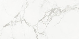 Керамогранит AB 1112G Carrara Classic 60x120 Absolut Gres полированный универсальный