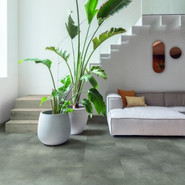 Alpha Vinyl Illume