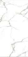Керамогранит MSZ 040 60x120 Globus Ceramica полированный универсальный