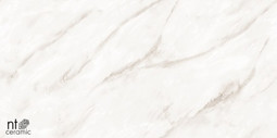 Керамогранит Empire Pearl Endless 60х120 NT Ceramic Marmo полированный универсальная плитка NTT99525P
