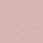 Настенная плитка Paola Rosa-B 20x20 глянцевая керамическая