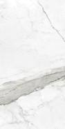Керамогранит Statuario Mate Rect. Porcelanico 60x120 универсальный матовый