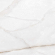 Керамогранит Essenza PW 60x60 матовый