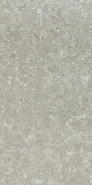 Керамогранит полированный Ceppo Gris 60x120 универсальный