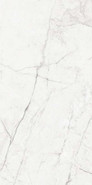 Керамогранит Aria Pol.60х120 Golden State Stone Collection полированный универсальный GSS12001