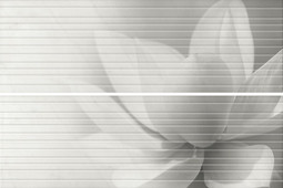 Панно HGD/A200/2x/12102R Борсари, 2 части 25х75, Обрезной 50х75 Kerama Marazzi матовое керамическое