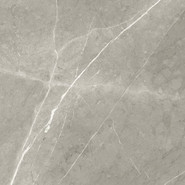 Керамогранит Bright And Shiny BB6NTT9102P Ntceramic 60х60 полированный универсальный