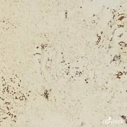 IberCork Лорка 600x300 Пробковые настенные покрытия в пластинах EasyCork клеевое соединение