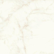 Керамогранит Marvel Calacatta Delicato 120x120 Matt (A4Q4) матовый
