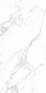Керамогранит Doney-R Blanco Pulido 59,3x119,3 универсальный полированный